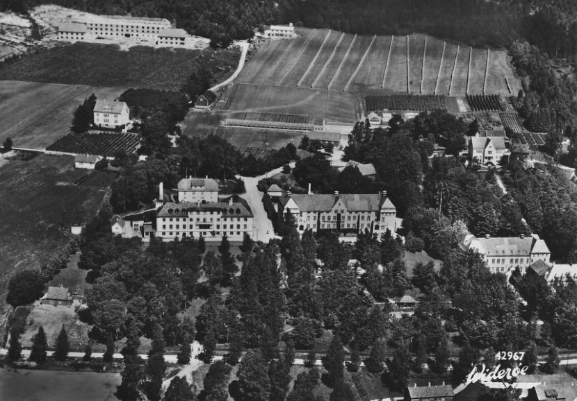Prospekt ca 1952